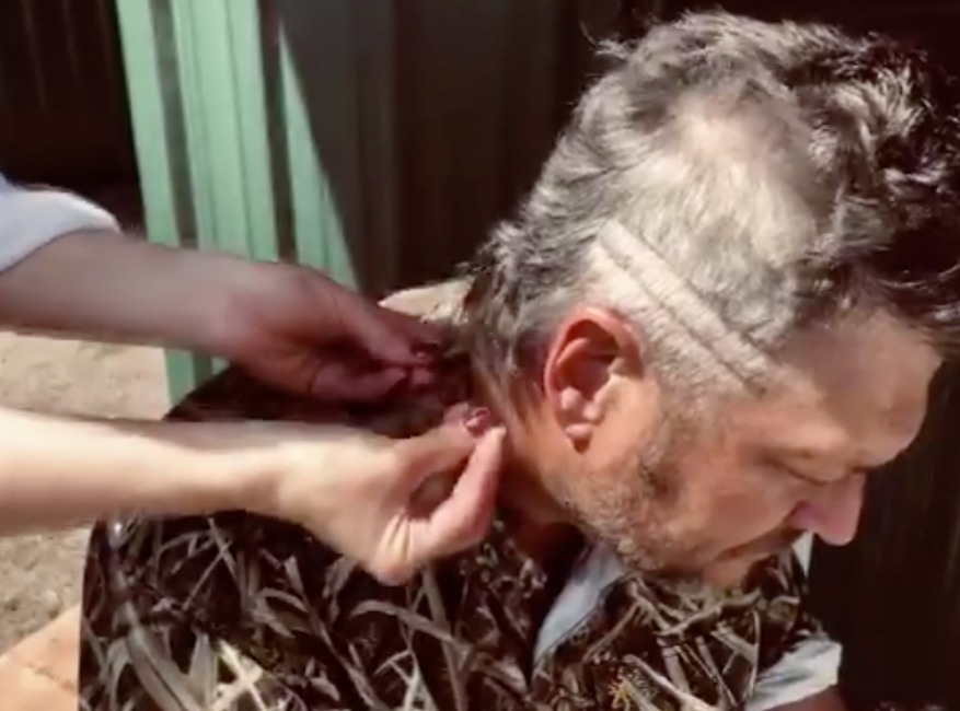 Blake Shelton, Nicola Peltz, At-Home Hair Transformations